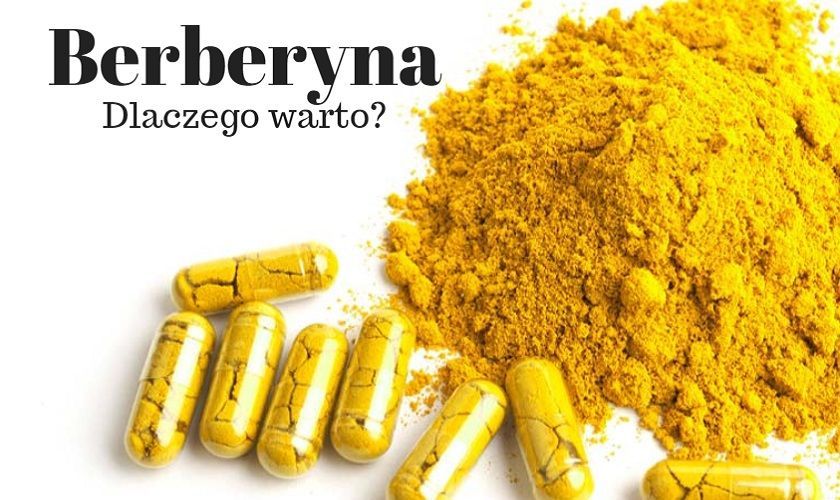 Berberyna – jak działa, co to jest i jak stosować – blog DrNatural.pl